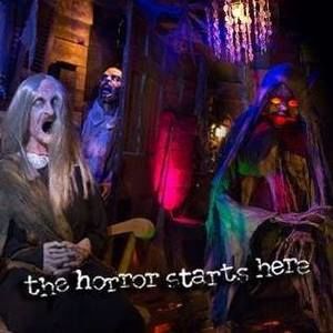 Meet your Posher, Marie